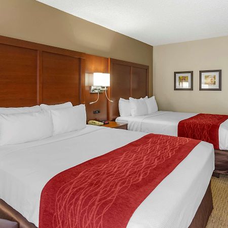 Comfort Inn&Suites Rochelle Exterior foto